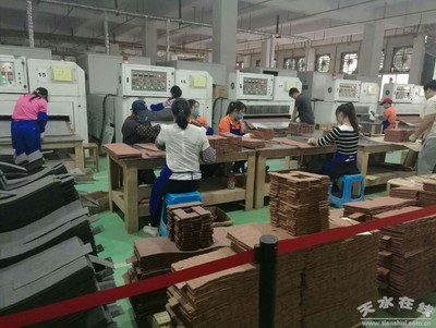 馬小龍赴廣東福美軟瓷等企業考察，推動產業合作與創新發展