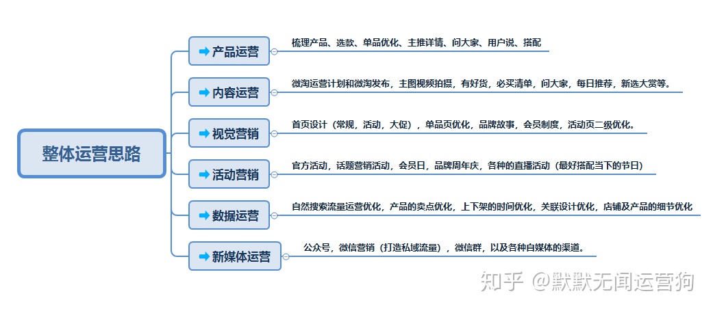 電商運營 天貓淘寶整體運營思路，把握全局，贏在未來