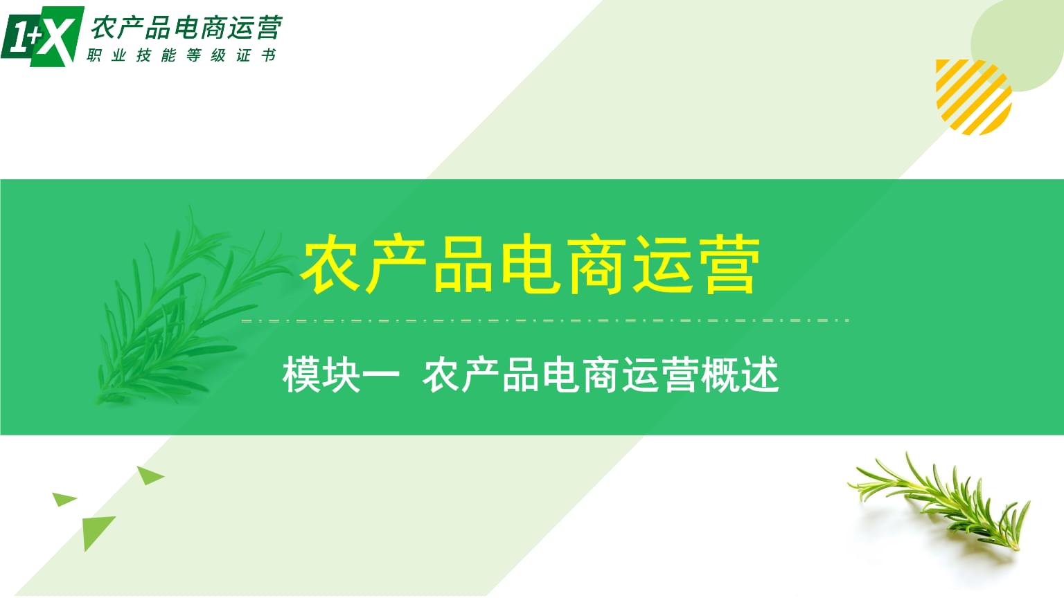 《農產品電商運營教學課件2》解析與要點梳理